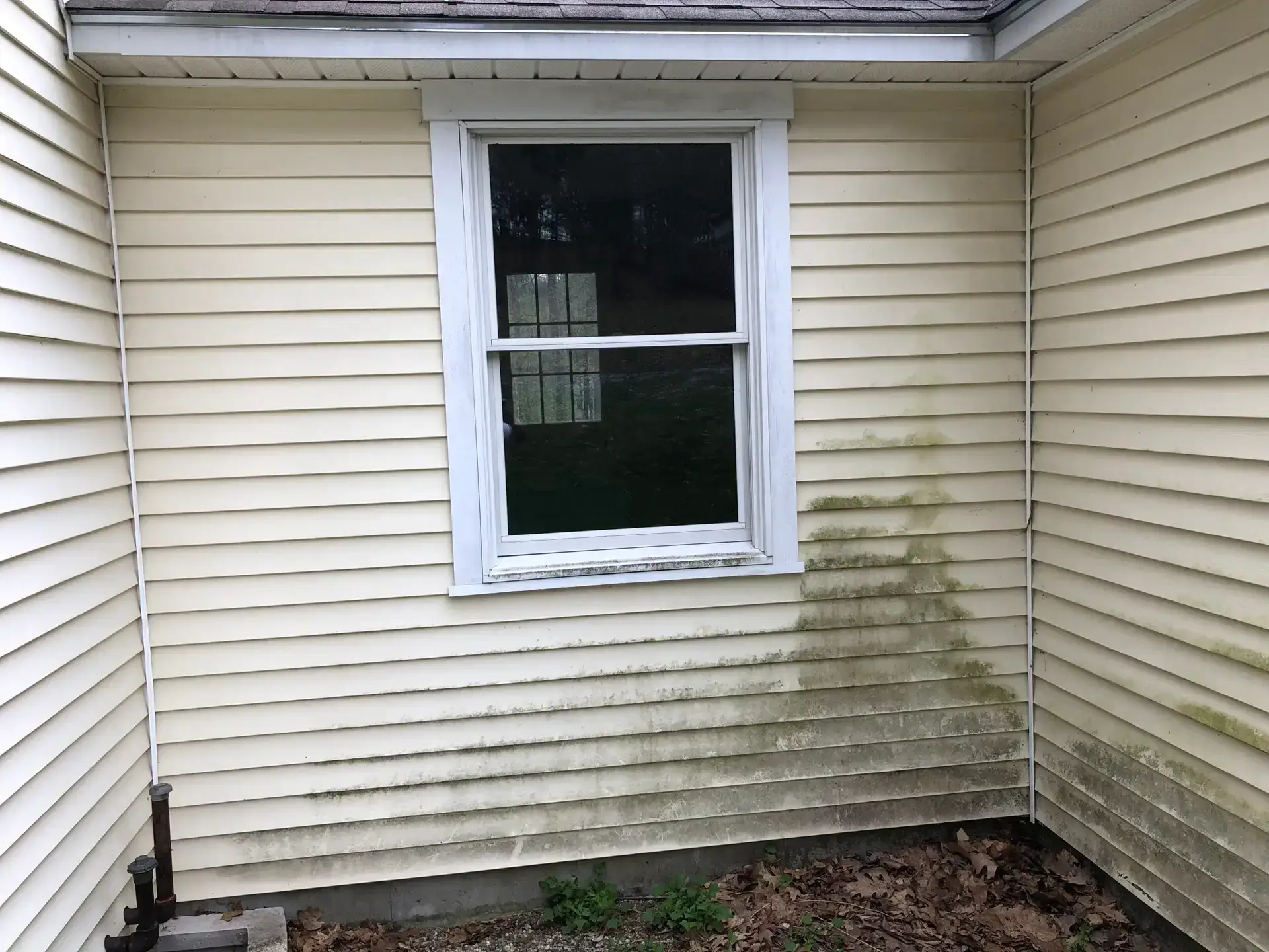 Moldy vinyl siding Vinyl siding before house washing